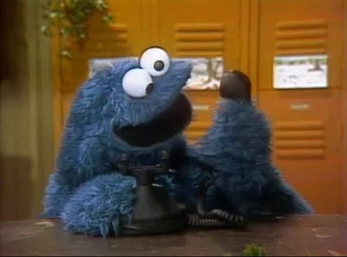 The Cookie Monster from American TV show Sesame Street