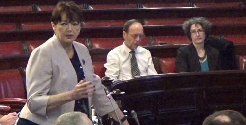 Councillor Roz Gladden (Cabinet Member for Adult and Children's Social Care and Health) responds to concerns about the Liveability service at the Liverpool City Council meeting on the 2nd March 2016