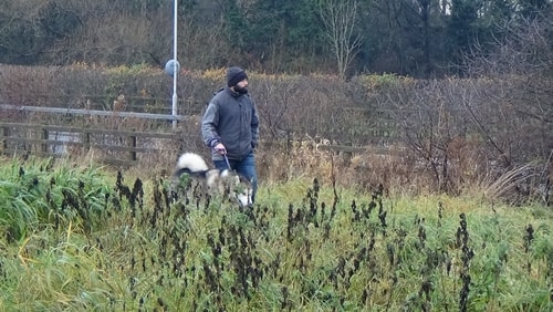 photo 6 Land off Saughall Massie Road Saughall Massie 13th December 2016 man walking dog