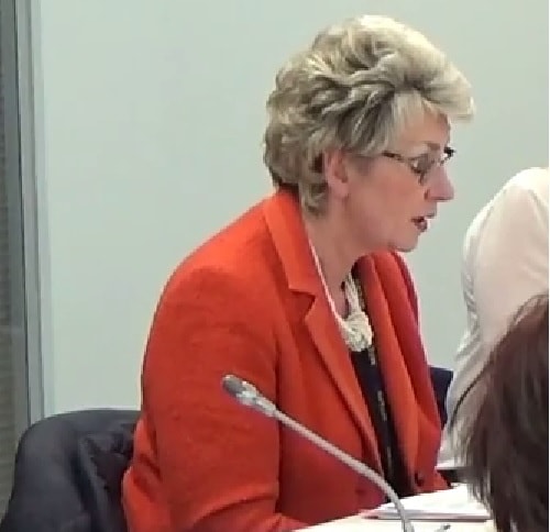Cllr Lesley Rennie speaking at a public meeting of Merseyside Fire and Rescue Authority 29th January 2015