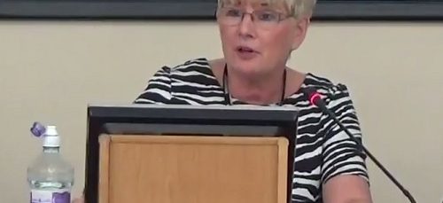 Cllr Anita Leech (Chair of Wirral Council's Planning Committee) at the Planning Committee held on the 20th April 2016