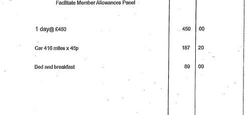 Who charged Wirral Council £726.20 for 1 day of work on a panel about councillors’ allowances?
